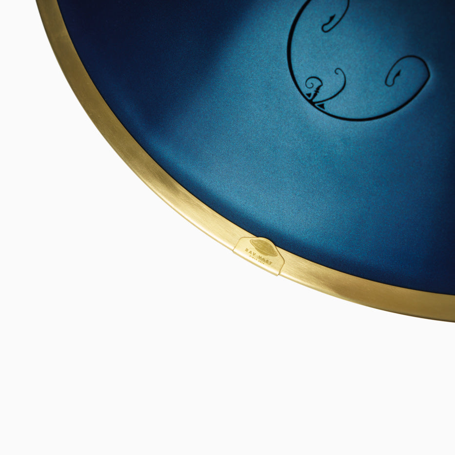 Rav Vast drum, tongue drum, drum tongues, steel tongue drum handpan