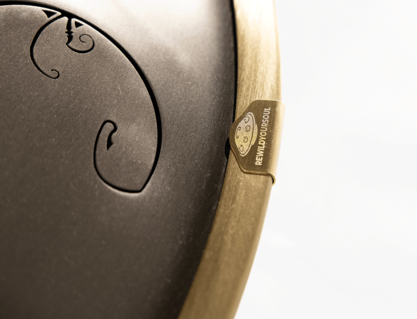 Rav Vast gold drum, tongue drum, drum tongues, steel tongue drum, handpan