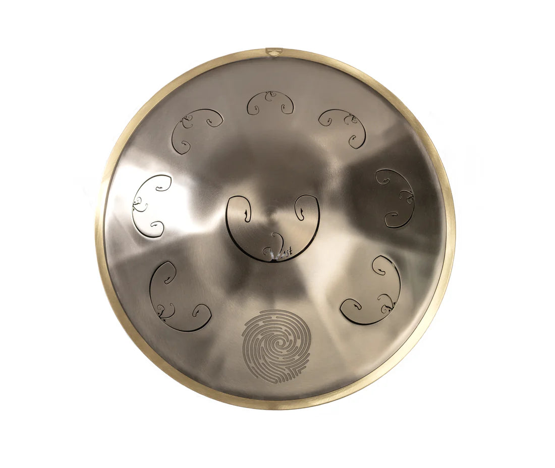 Rav Vast gold drum, tongue drum, drum tongues, steel tongue drum, handpan
