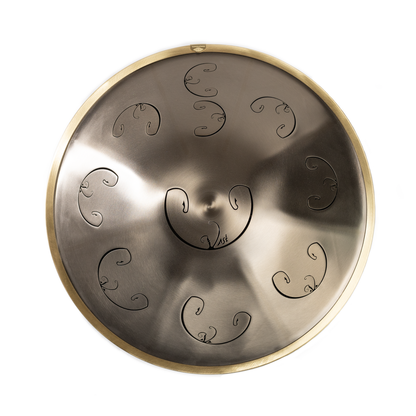 Rav Vast gold drum, tongue drum, drum tongues, steel tongue drum, handpan
